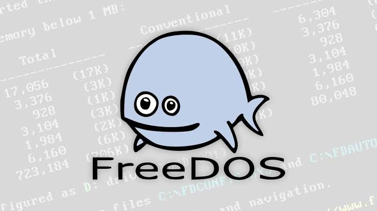 Freedos Nedir ?