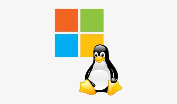Linuxa Hangi Sürümle Başlamalıyım ?