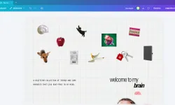 canva web sitesi yayından kaldırma