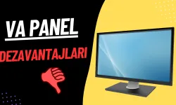 va panel dezavantajlari