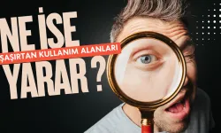 wordpress ne işe yarar