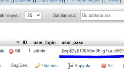 wordpress phpmyadmin şifre