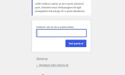wordpress şifremi unuttum