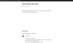 Wordpress site kurma 8