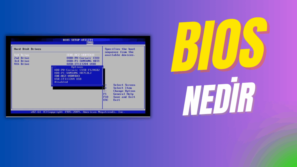 bios nedir