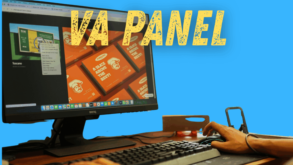 VA Panel